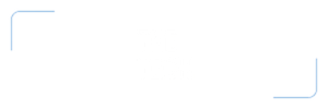 The Tech