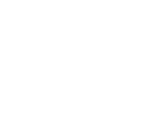 gartner-peer-2021-1